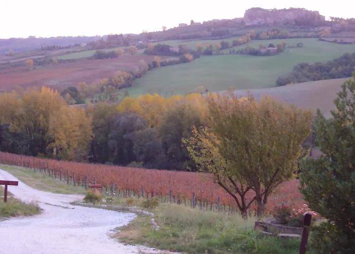 Alojamento de Turismo Rural Cioccoleta