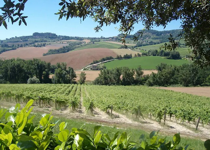Alojamento de Turismo Rural Cioccoleta *
